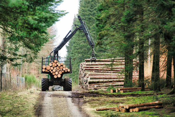heavy-equipment-loading-huge-logs-in-a-trailer-2026-01-08-00-27-45-utc 2